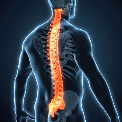 Atlanta Corrective Chiropractor, Spinal Rehabilitation, and Pain Relief